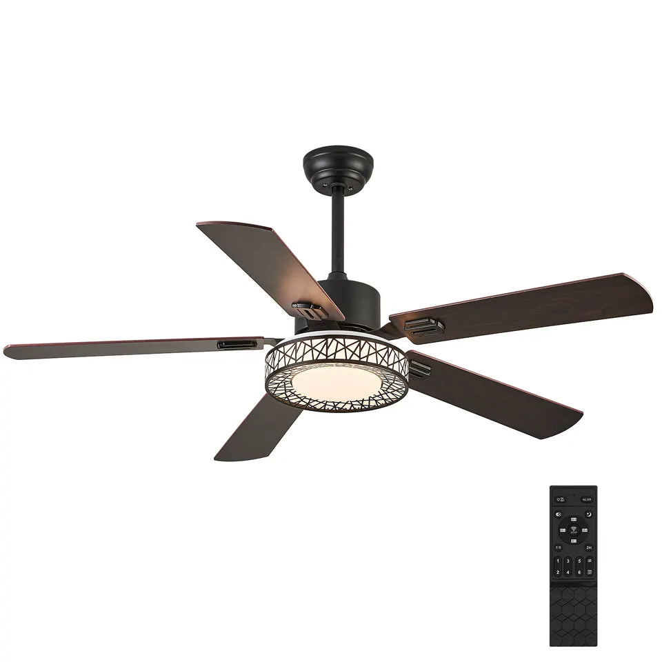 Elara Fan