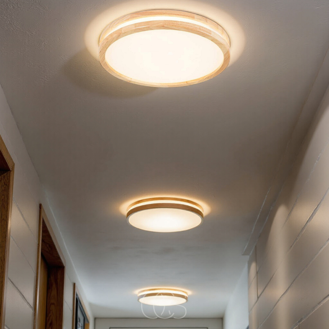 Cleroa - Basic modern LED ceiling lamp