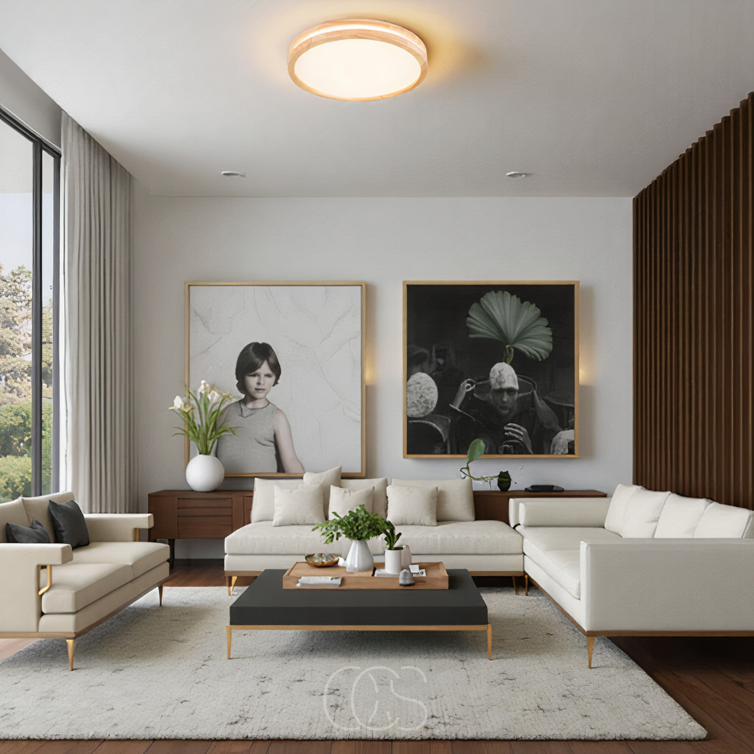 Cleroa - Basic modern LED ceiling lamp