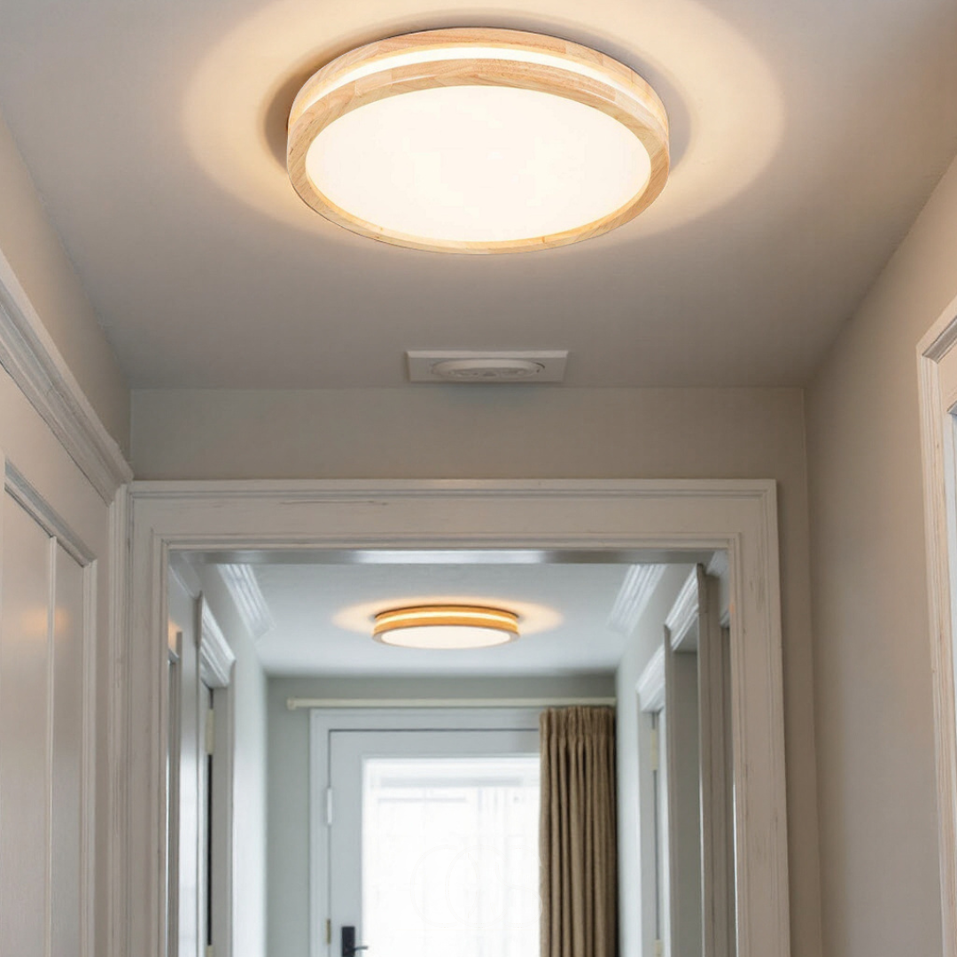 Cleroa - Basic modern LED ceiling lamp