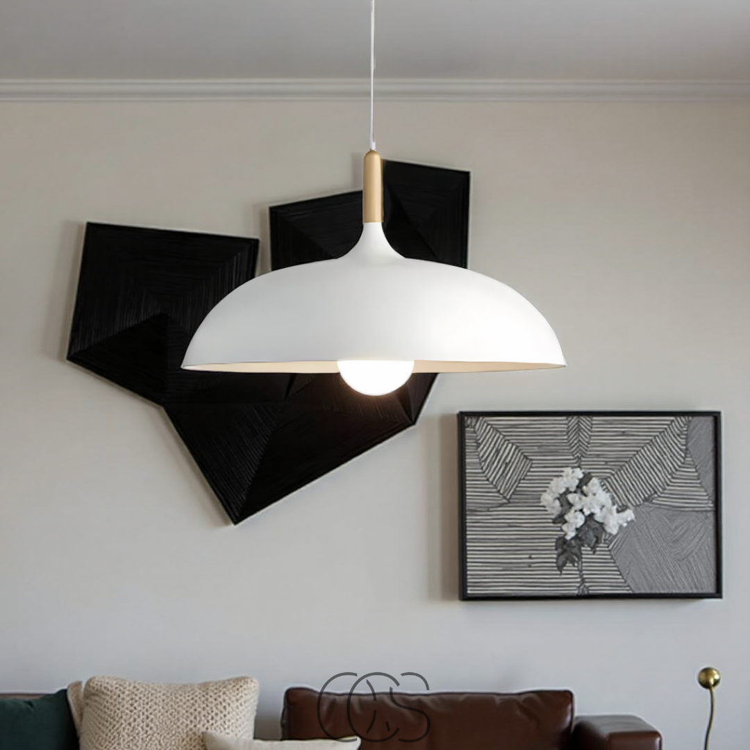 Cleroa - Modern Matte Black Ceiling Lamp