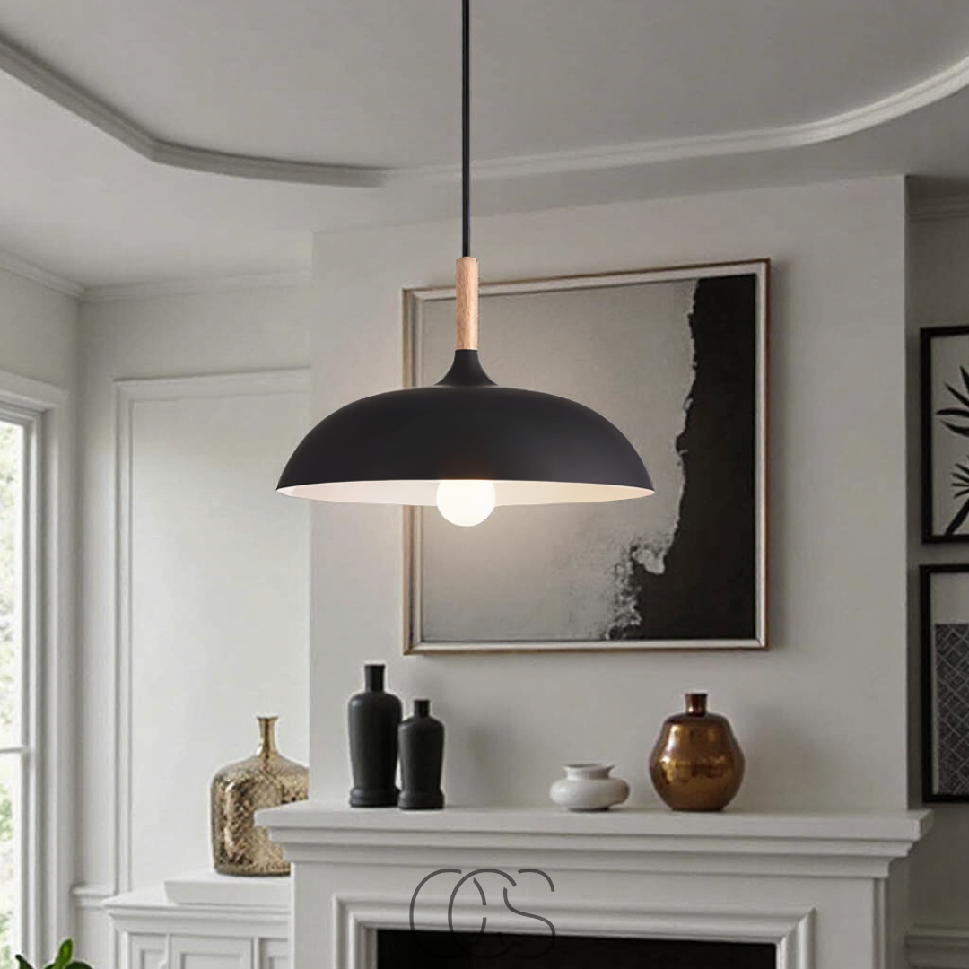 Cleroa - Modern Matte Black Ceiling Lamp
