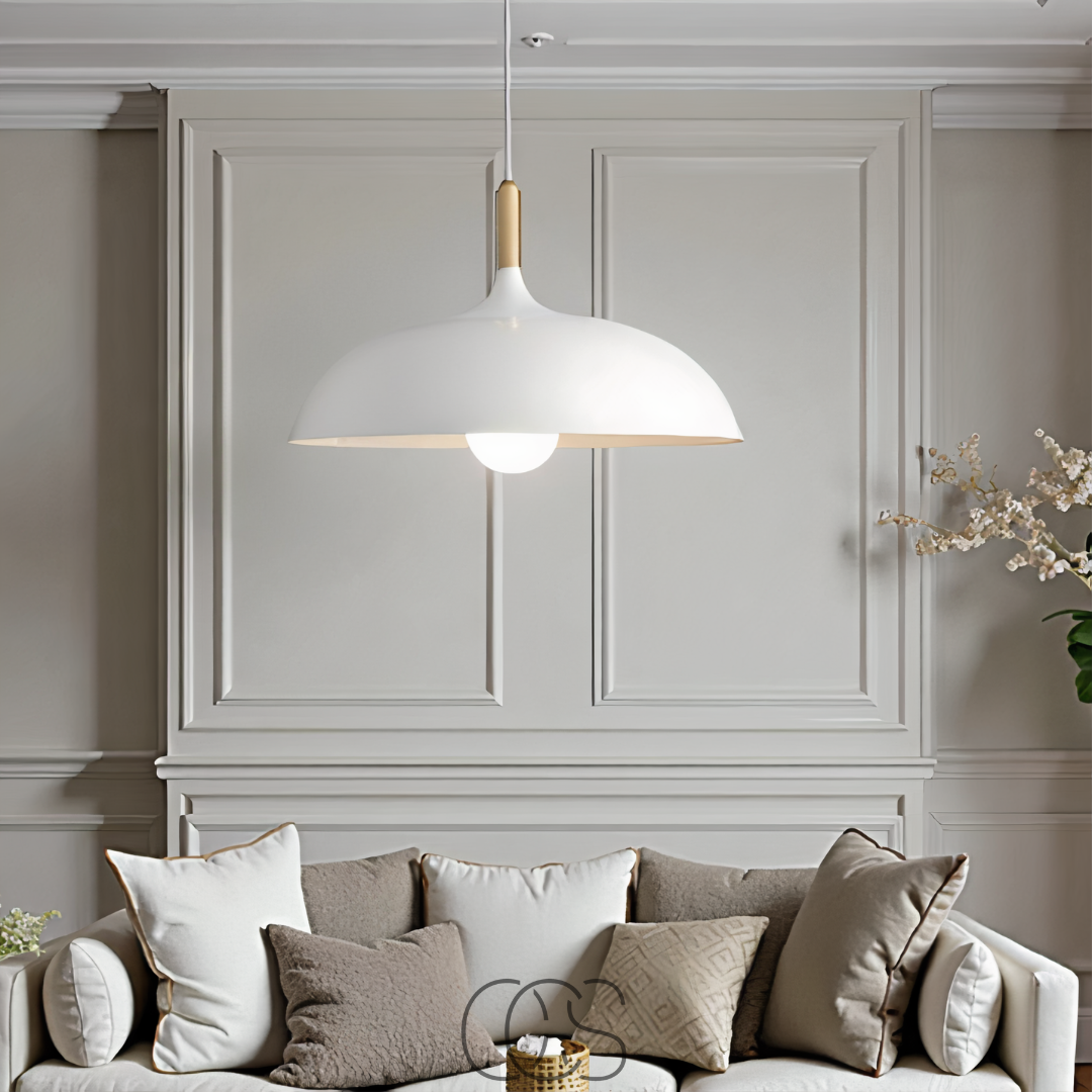 Cleroa - Modern Matte Black Ceiling Lamp