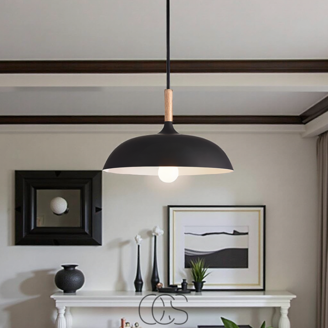 Cleroa - Modern Matte Black Ceiling Lamp