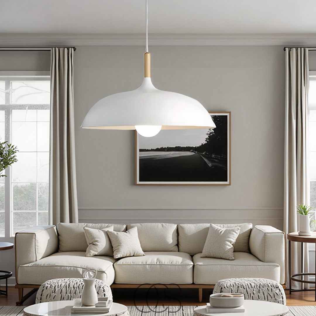 Cleroa - Modern Matte Black Ceiling Lamp