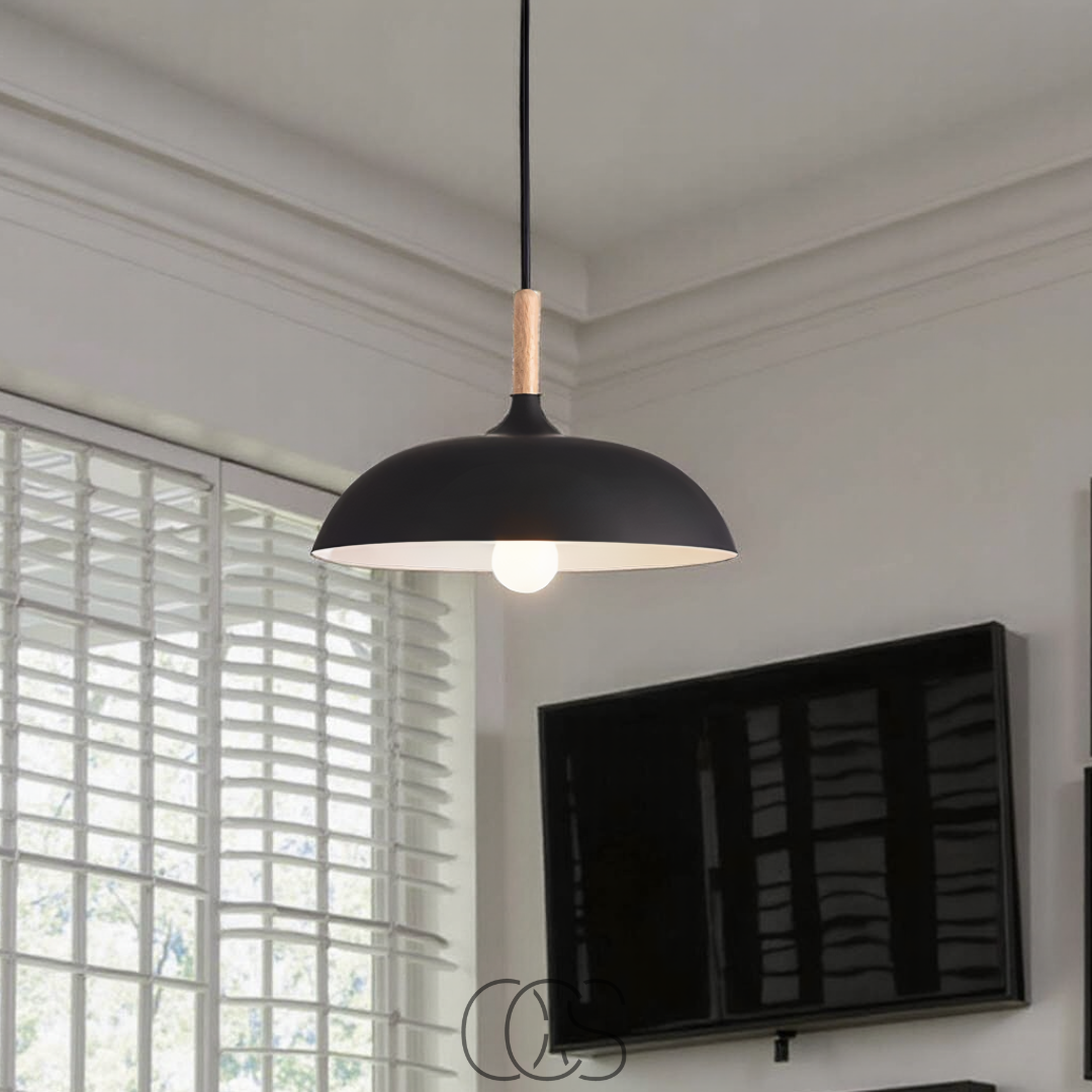 Cleroa - Modern Matte Black Ceiling Lamp