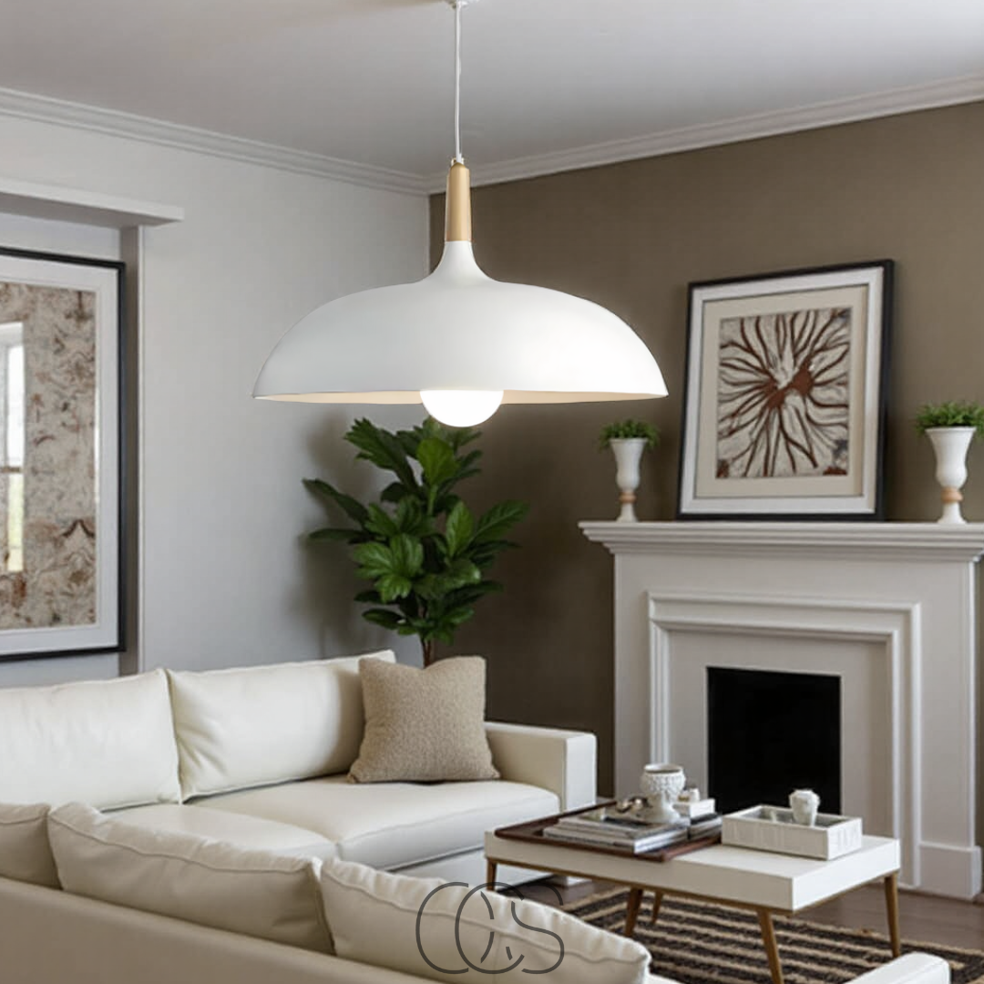 Cleroa - Modern Matte Black Ceiling Lamp