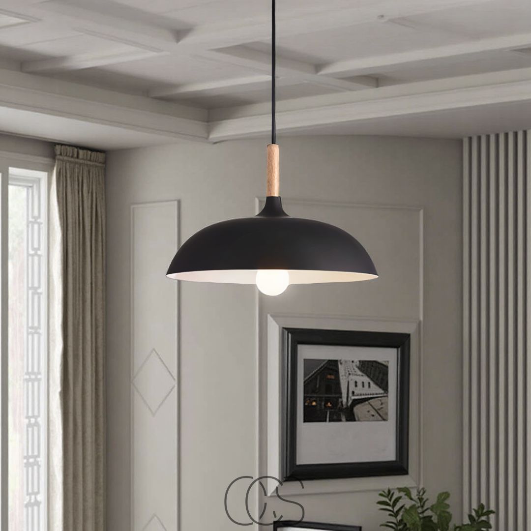 Cleroa - Modern Matte Black Ceiling Lamp