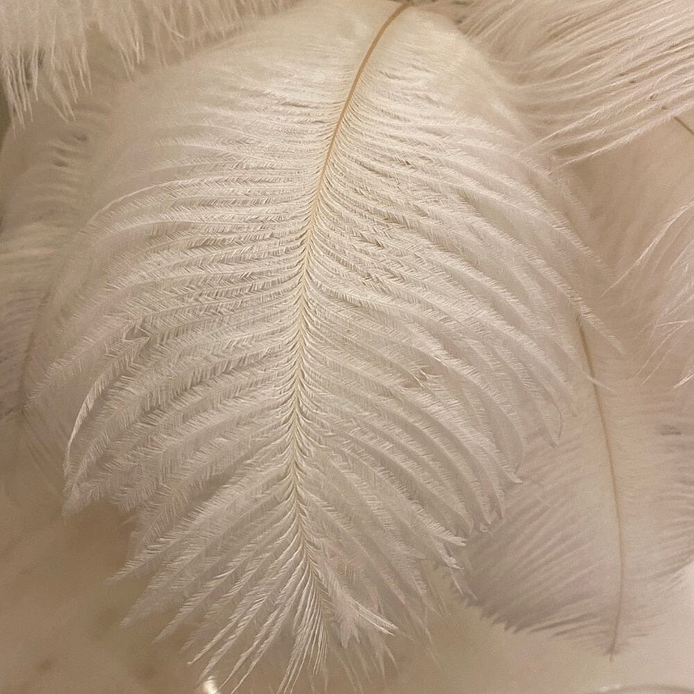 Aurelle | Premium Feather LED Lamp