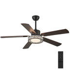 Elara Fan