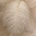 Aurelle | Premium Feather LED Lamp